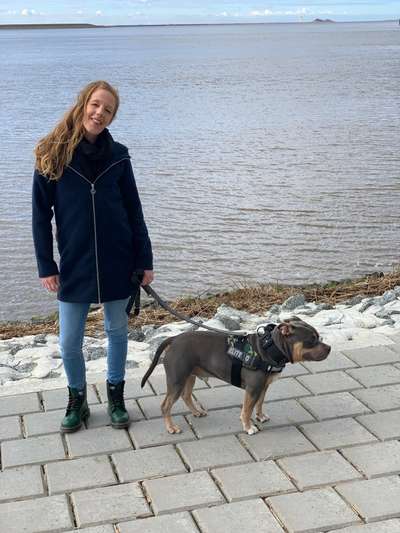 Zeigt uns das 6. Bild von eurem Hund in eurer Galerie-Beitrag-Bild