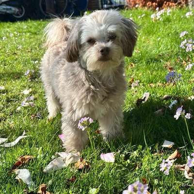 Melanie🙋‍♀️'s Profilbild