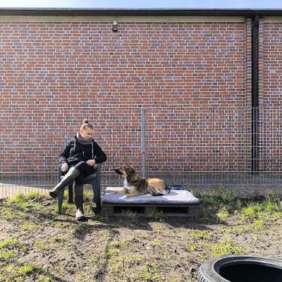 Giftköder-Einzeltraining-Bild