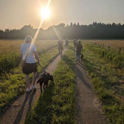 Giftköder-Themenkurse-Bild