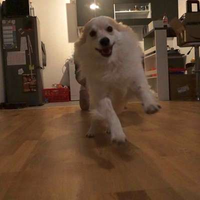 Un...scharf Bilder-Beitrag-Bild