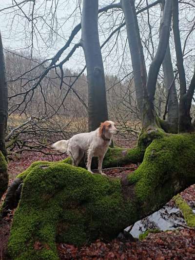 27. Handy Fotochallenge-Beitrag-Bild