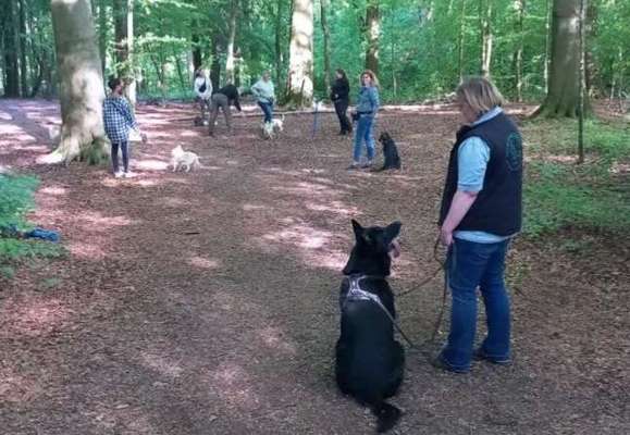 Giftköder-Socialwalk-Bild