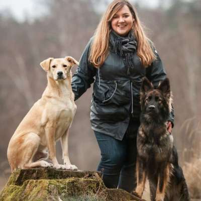 Hundeschulen-Goldene Leine-Bild