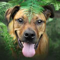 Fotochallange Nr. 57     PORTRÄT.   Beendet!!!!!!!!-Beitrag-Bild