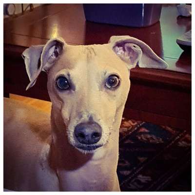 Fotochallange Nr. 57     PORTRÄT.   Beendet!!!!!!!!-Beitrag-Bild