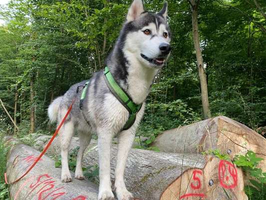 Theos Fotochallenge Nr. 3-Beitrag-Bild