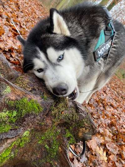 Theos Fotochallenge Nr. 3-Beitrag-Bild