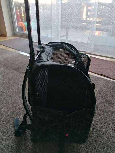 Hunderucksack-Beitrag-Bild