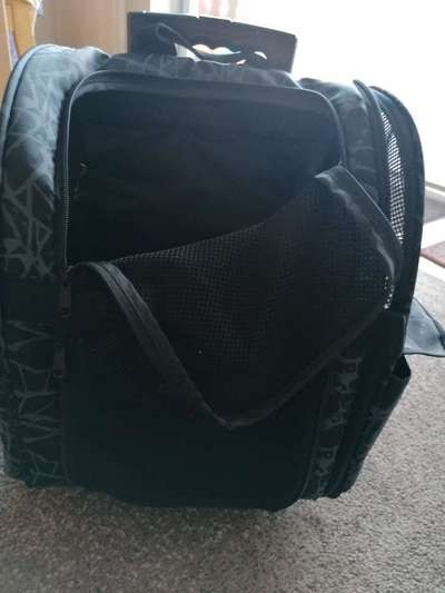 Hunderucksack-Beitrag-Bild