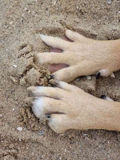 Eure Strandbilder :)-Beitrag-Bild