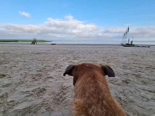 Eure Strandbilder :)-Beitrag-Bild