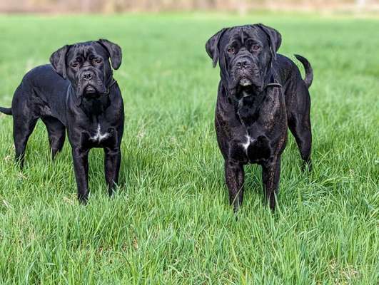 Farben Fotochallenge Thema ,,Grün"-Beitrag-Bild