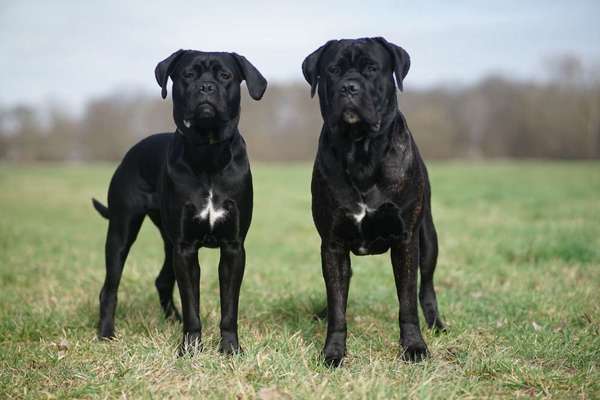 Austausch zur Fotografie-Beitrag-Bild