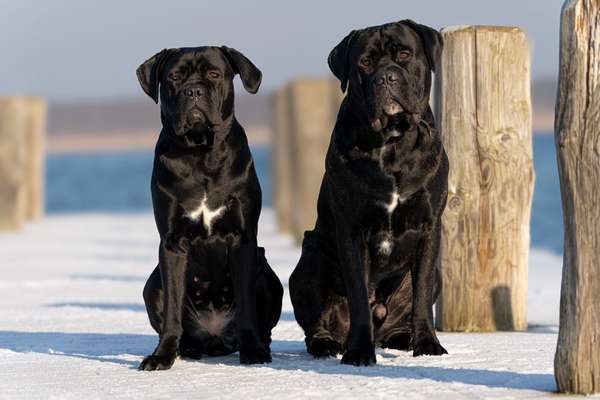 Austausch zur Fotografie-Beitrag-Bild