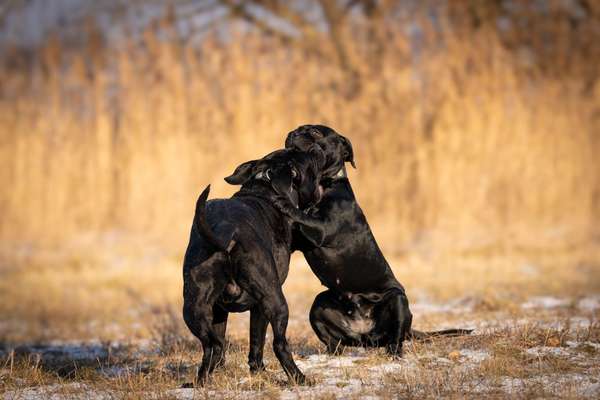 Austausch zur Fotografie-Beitrag-Bild