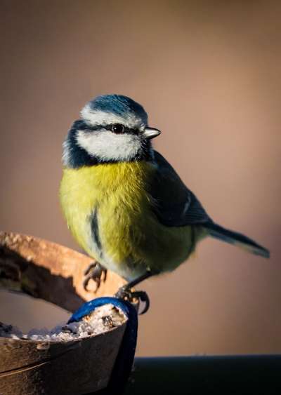 Austausch zur Fotografie-Beitrag-Bild