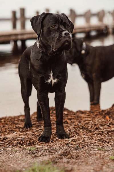 Austausch zur Fotografie-Beitrag-Bild