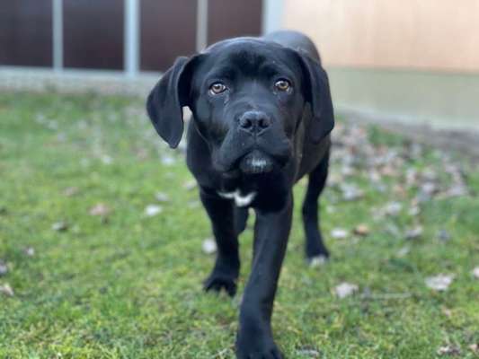 Sie werden so schnell erwachsen ...-Beitrag-Bild