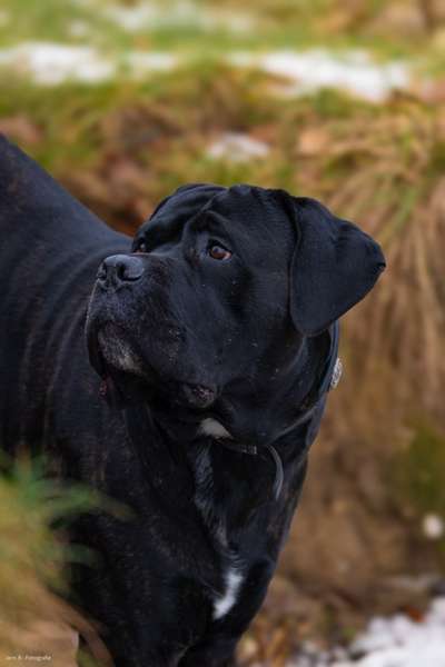 Austausch zur Fotografie-Beitrag-Bild