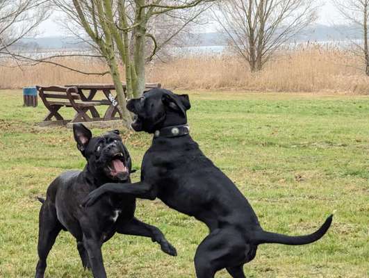 LUSTIGE FOTOS! WER KANN MITHALTEN?-Beitrag-Bild