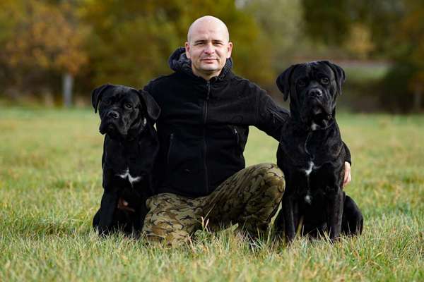 Wo sind die ganzen Molosser? Zeigt doch mal Eure Molosser-Beitrag-Bild