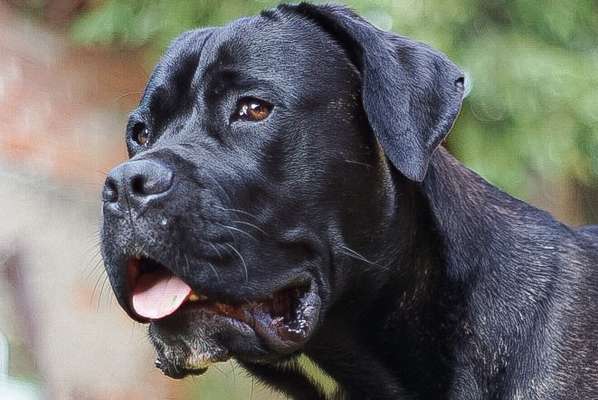 Blick fürs Detail!-Beitrag-Bild