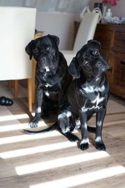 LUSTIGE FOTOS! WER KANN MITHALTEN?-Beitrag-Bild