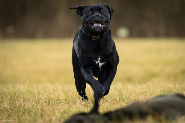 Austausch zur Fotografie-Beitrag-Bild