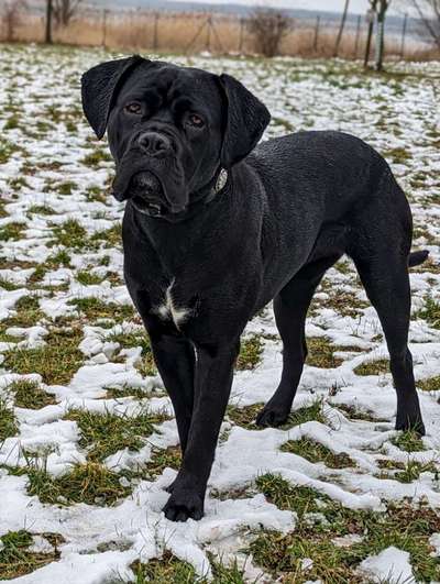 Sie werden so schnell erwachsen ...-Beitrag-Bild