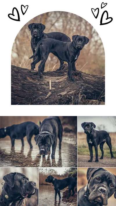 Lieblings Fotos-Beitrag-Bild