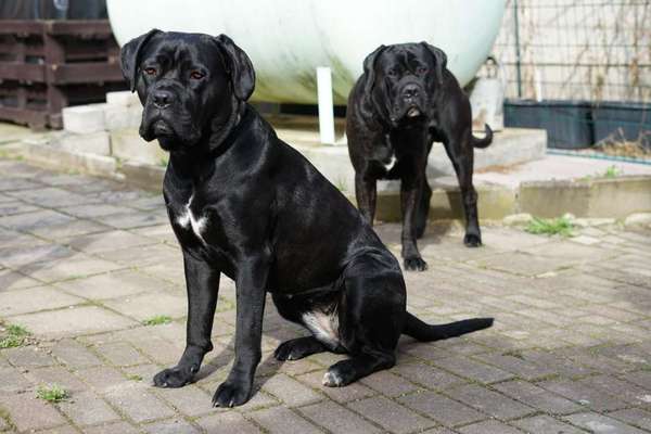 Austausch zur Fotografie-Beitrag-Bild