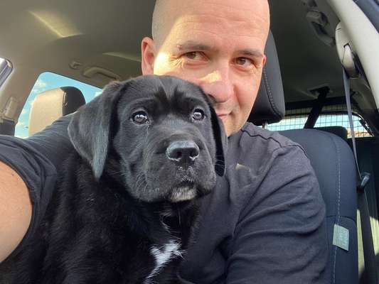 Welpen Bilder !-Beitrag-Bild