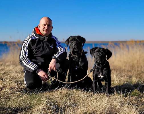 Wald Bild-Beitrag-Bild