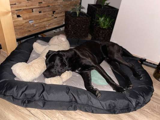 CHALLENGE NR. 34 - Liege-/Schlafpositionen-Beitrag-Bild