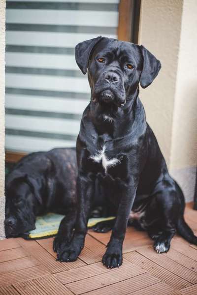 Austausch zur Fotografie-Beitrag-Bild