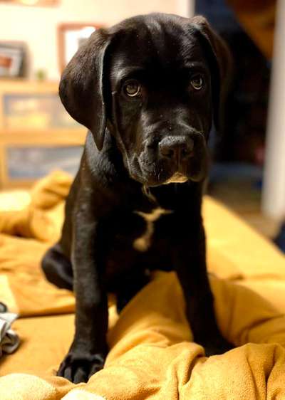 Sie werden so schnell erwachsen ...-Beitrag-Bild