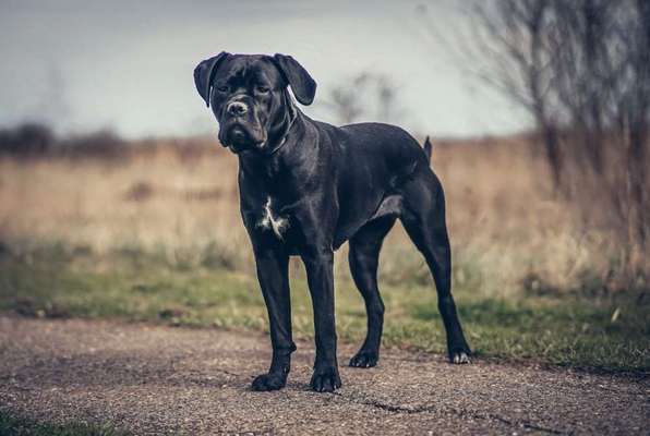 Austausch zur Fotografie-Beitrag-Bild