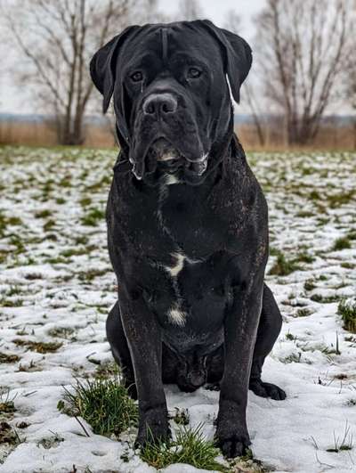 Sie werden so schnell erwachsen ...-Beitrag-Bild