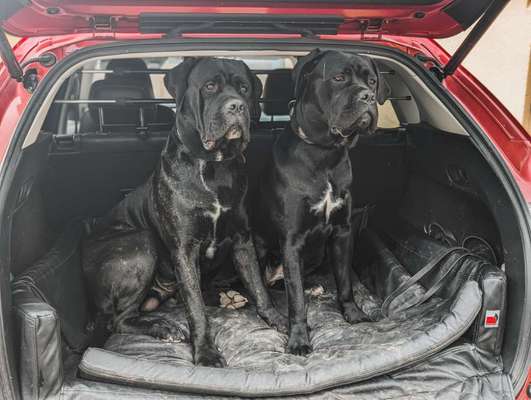 Fotochallenge 130-Beitrag-Bild