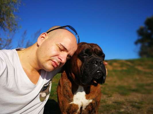 Unsere Fellnasen im Regenbogenland-Beitrag-Bild