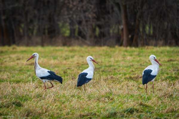 Austausch zur Fotografie-Beitrag-Bild