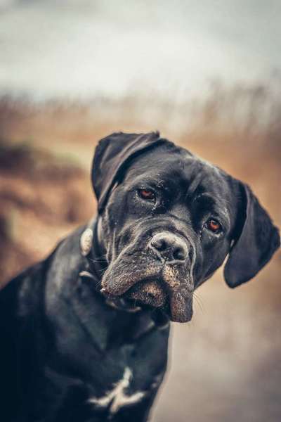 Austausch zur Fotografie-Beitrag-Bild