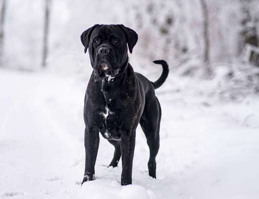Austausch zur Fotografie-Beitrag-Bild