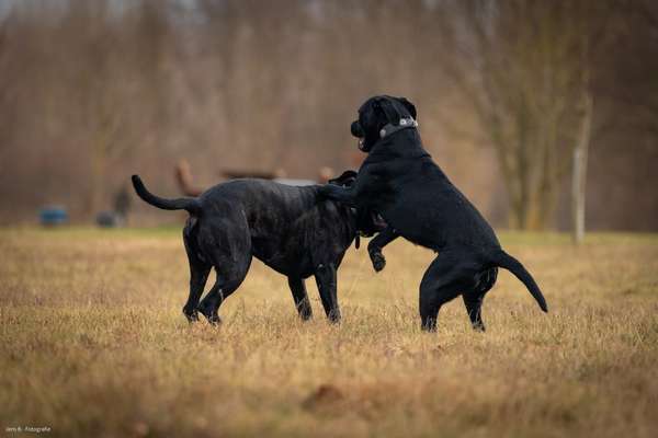 Austausch zur Fotografie-Beitrag-Bild