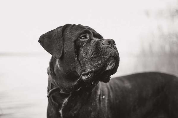 Austausch zur Fotografie-Beitrag-Bild