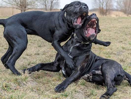 LUSTIGE FOTOS! WER KANN MITHALTEN?-Beitrag-Bild