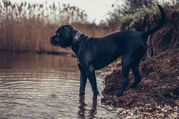 Austausch zur Fotografie-Beitrag-Bild