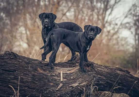 Austausch zur Fotografie-Beitrag-Bild