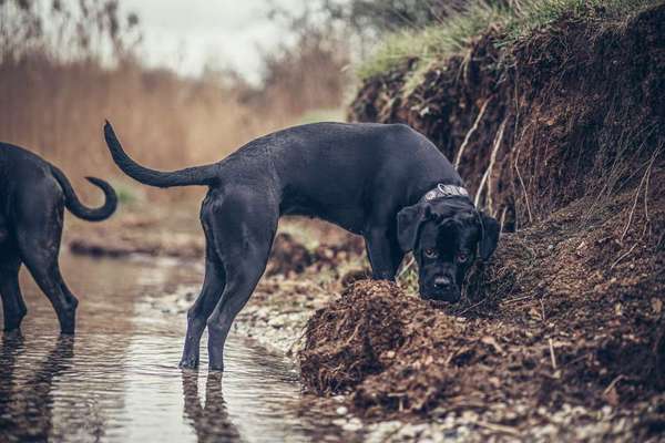 Austausch zur Fotografie-Beitrag-Bild